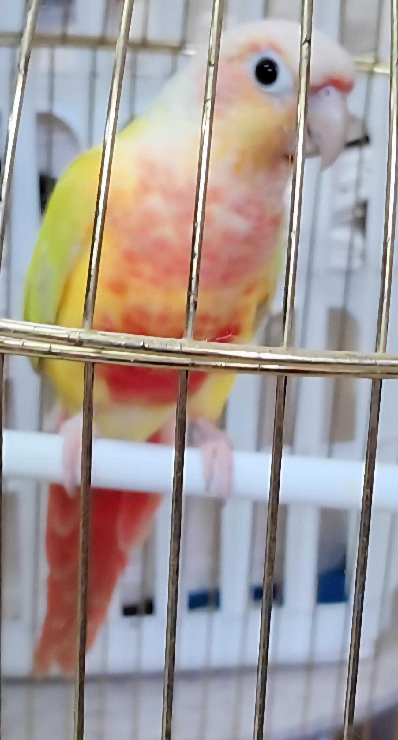 종료(반환) 기타축…