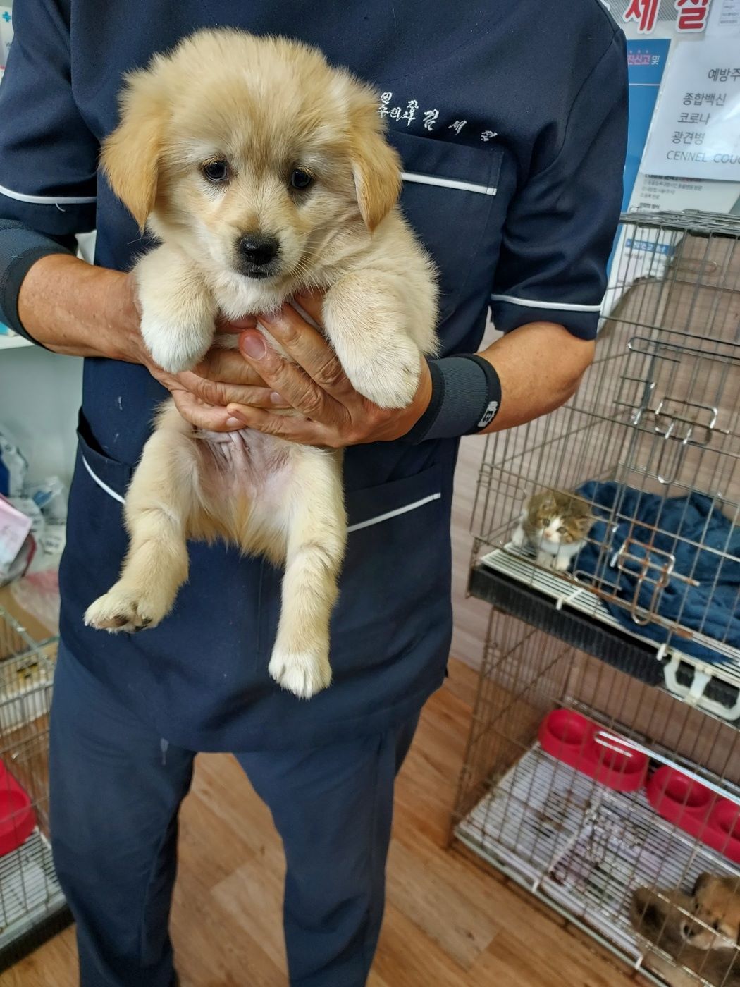 인월동물병원_445470202500962