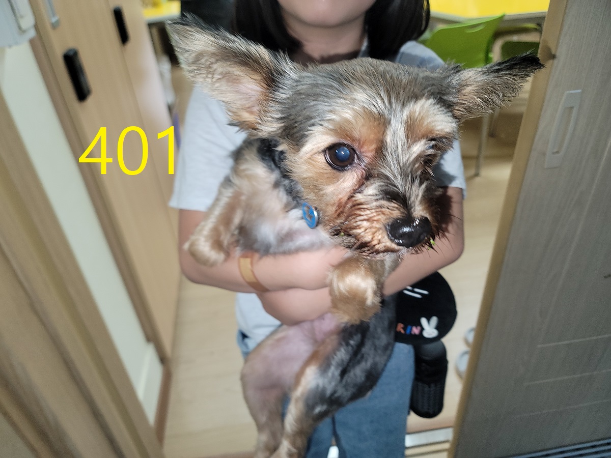 신영재동물병원_428355202500671