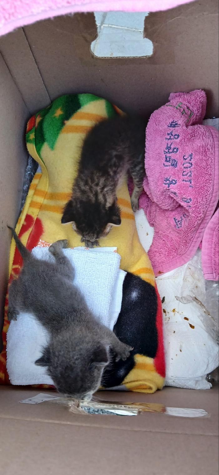 종료(자연사) 한국…