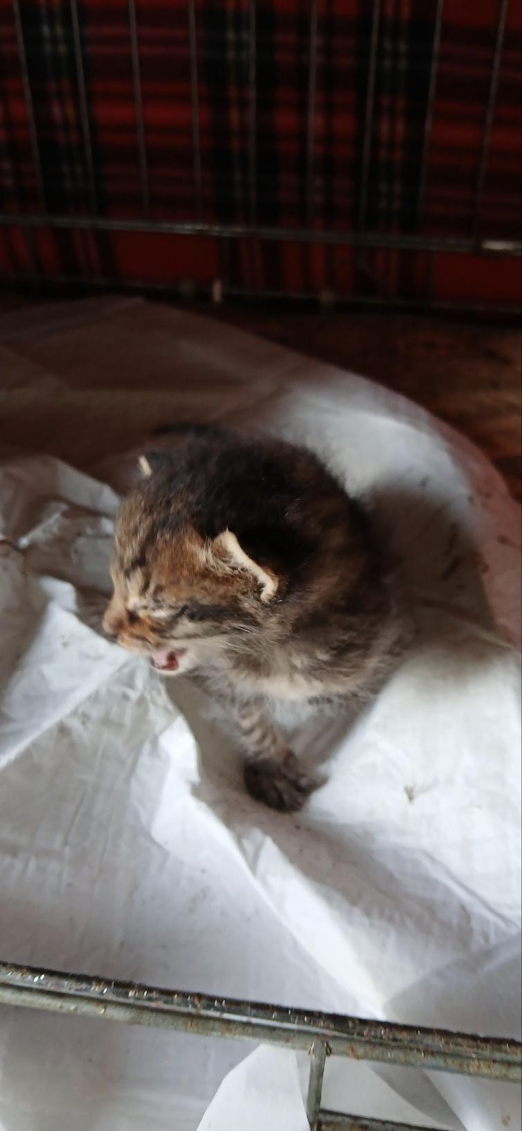 종료(자연사) 한국…