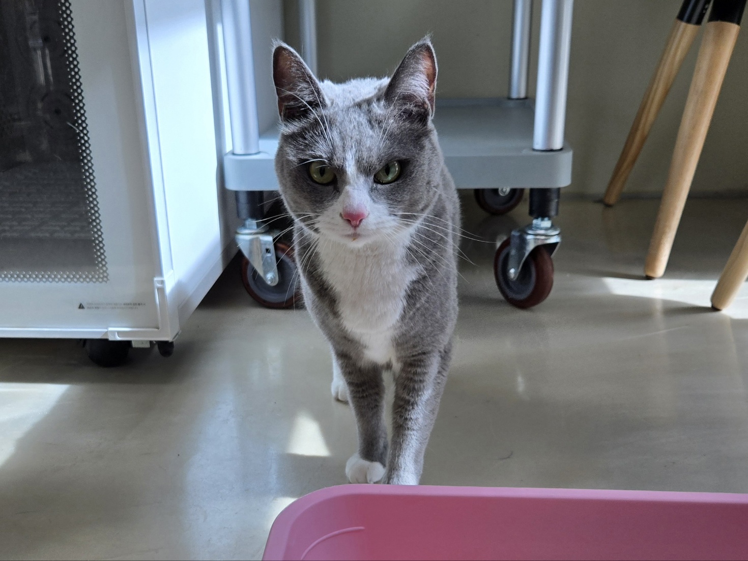 종료(기증) 브리티…