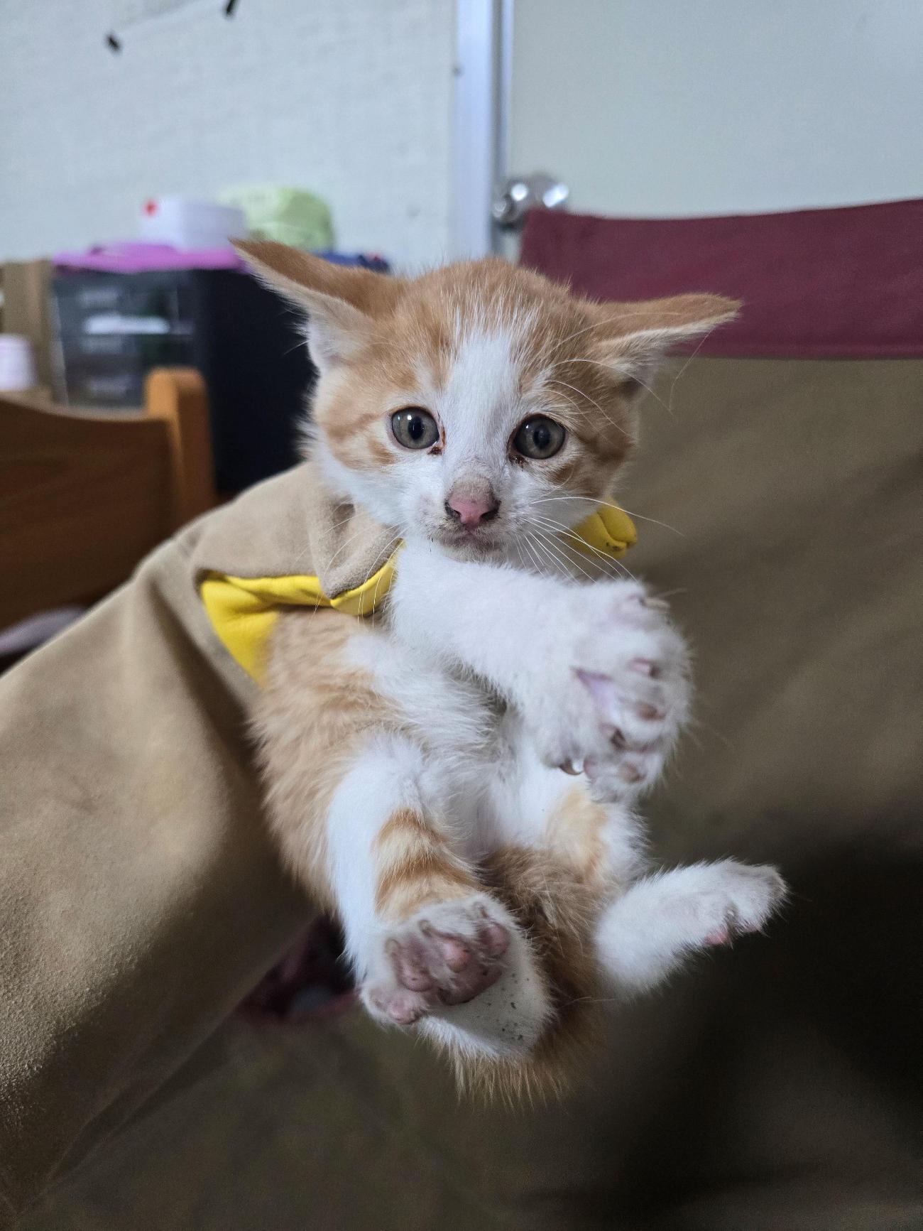 밀양시 동물보호센터_448536202500900