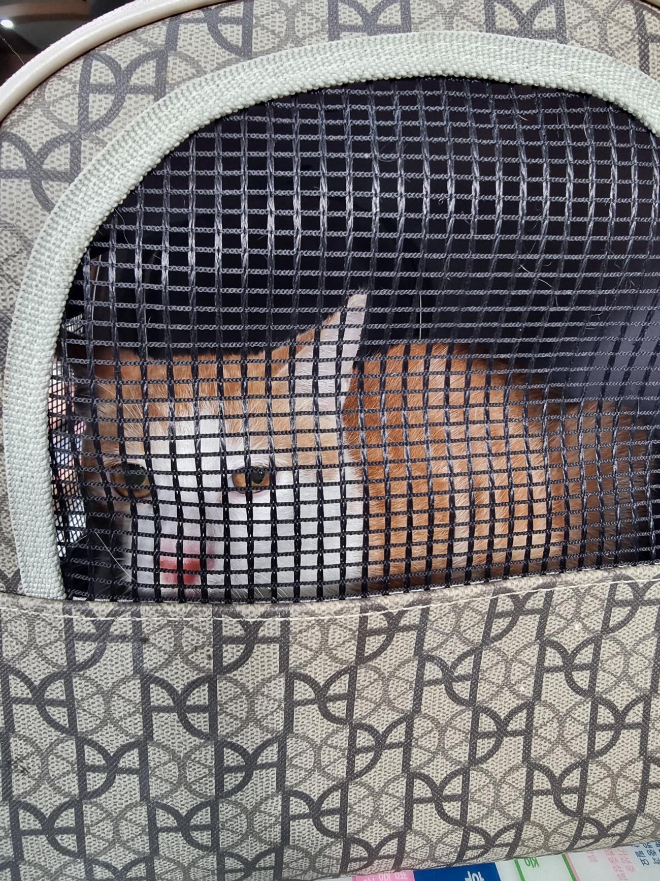 종료(방사) 한국 …