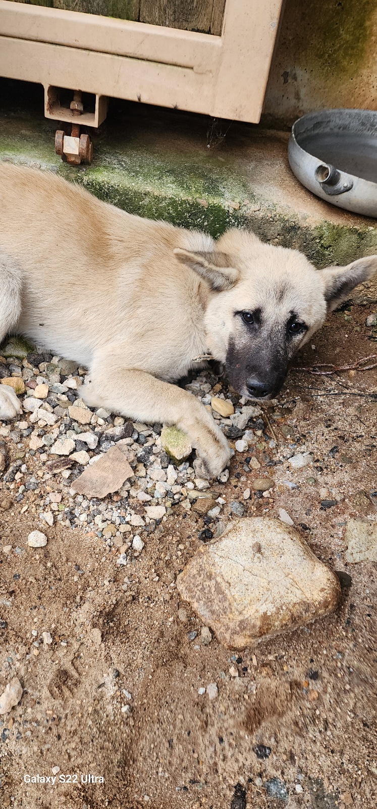 전북말산업복합센터_445471202500437