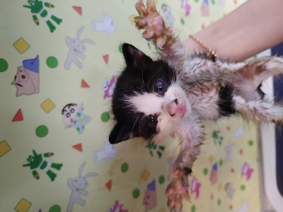 사단법인 동부_426340202500651