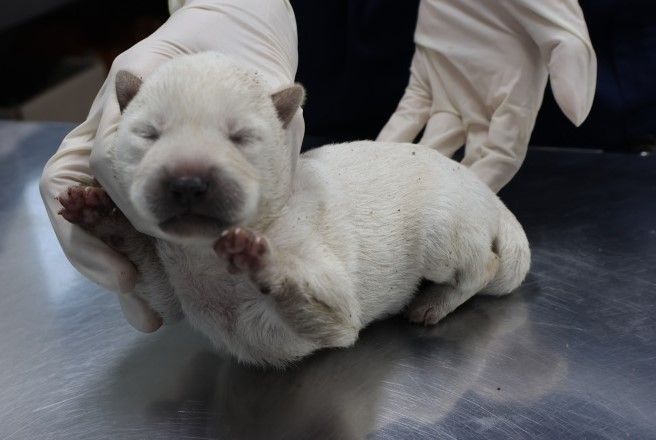 제주 동물보호센터_450650202502760