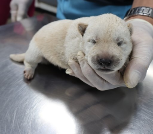 제주 동물보호센터_450650202502761