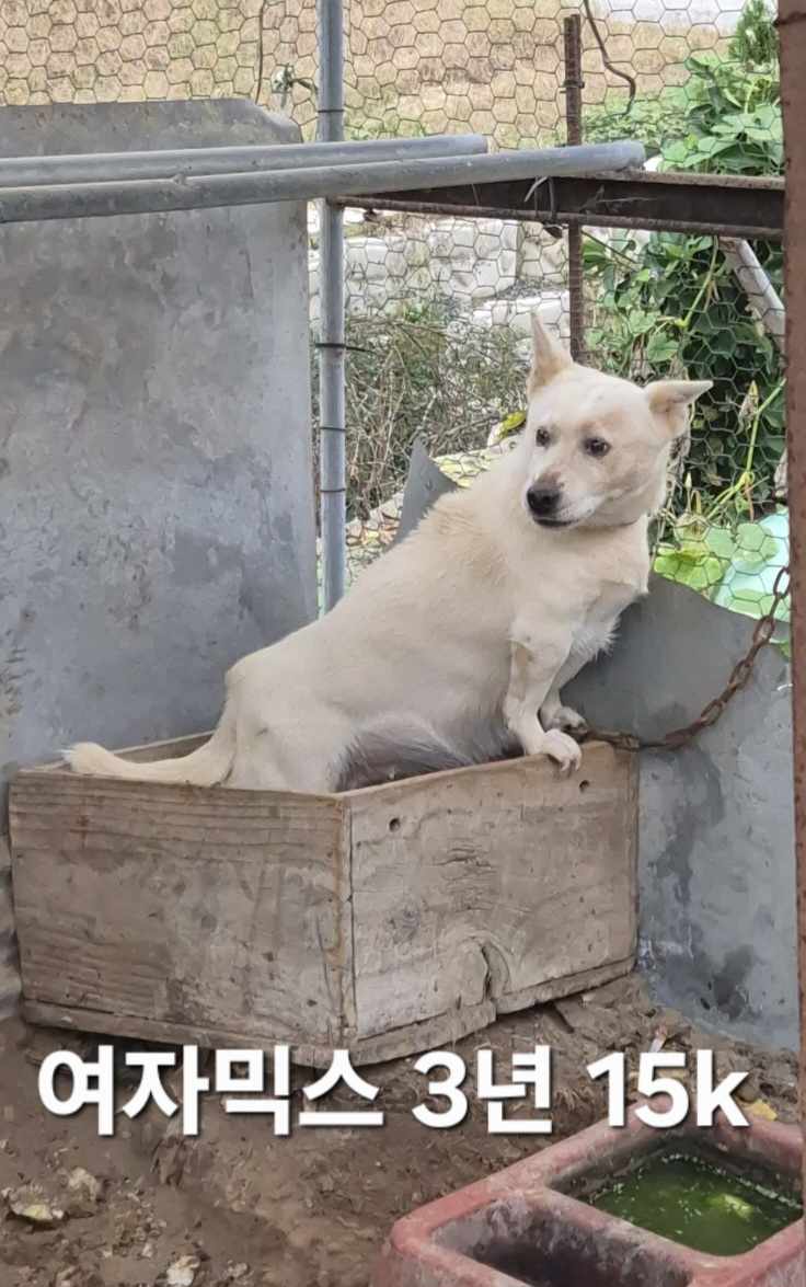 옥천동물병원_443443202500708