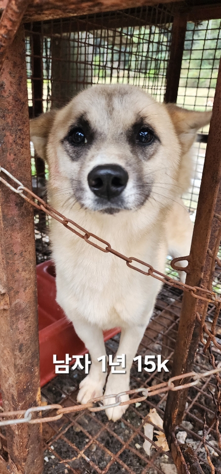 옥천동물병원_443443202500704