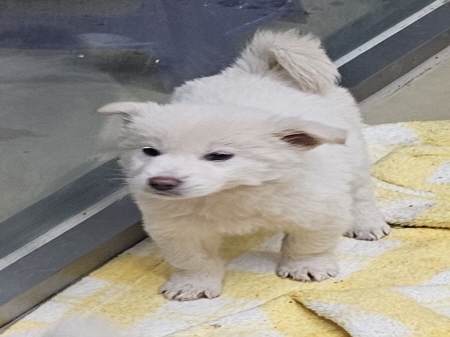 종료(자연사) 믹스…