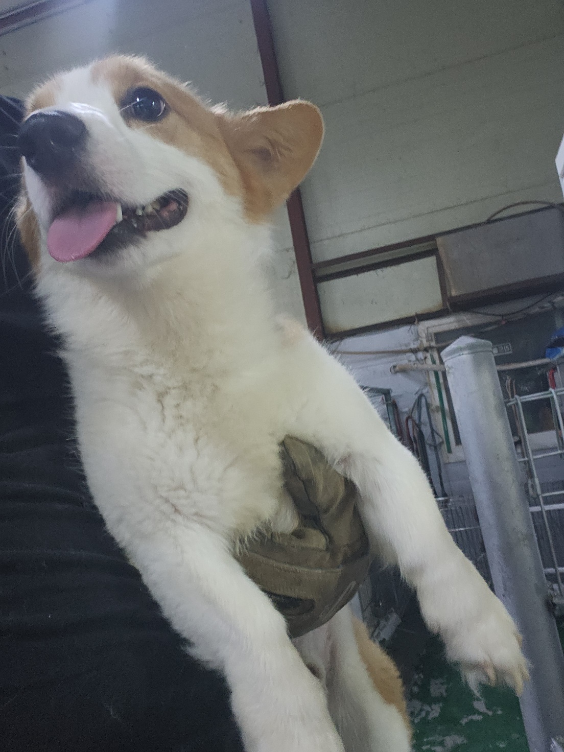 인천광역시수의사회_428351202500552