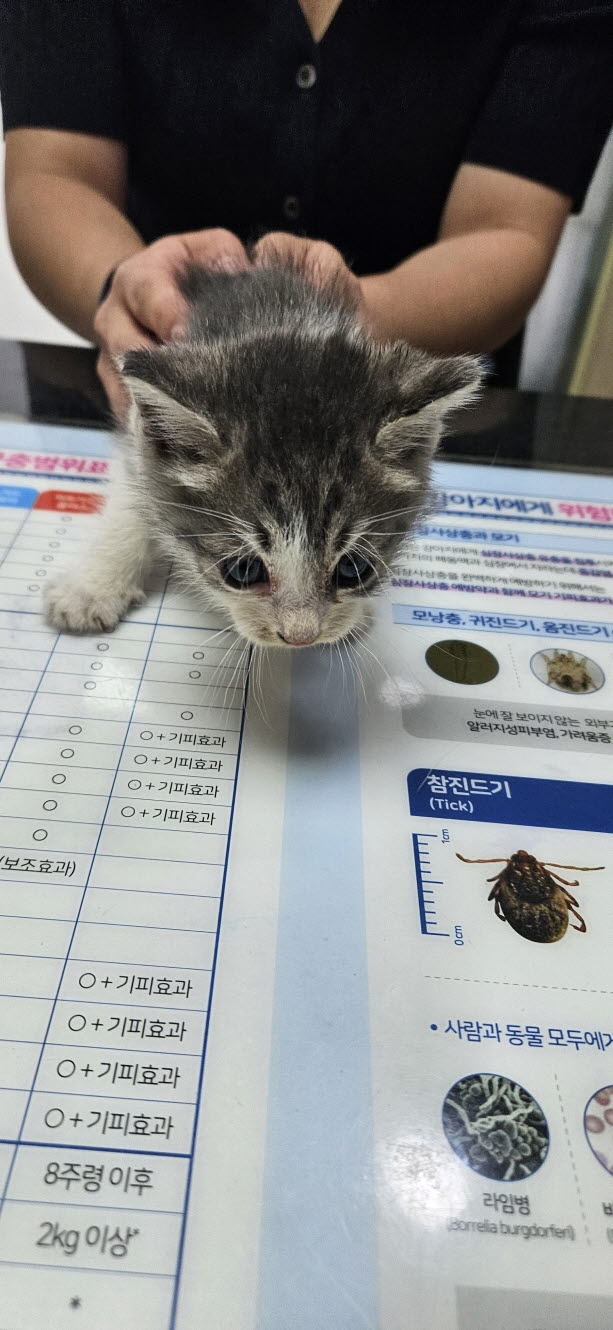 둔촌동물병원_411324202500570