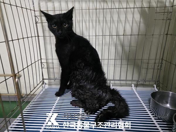 한국동물구조관리협회_411315202500547