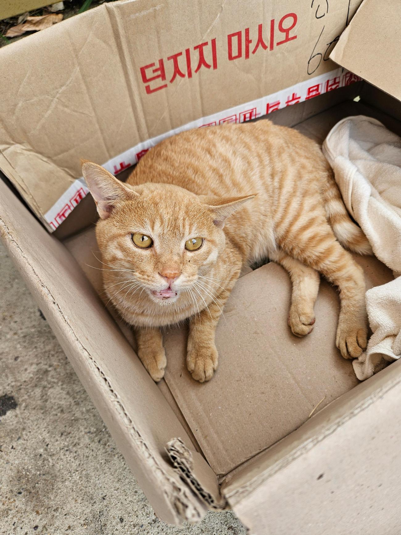 종료(자연사) 한국…