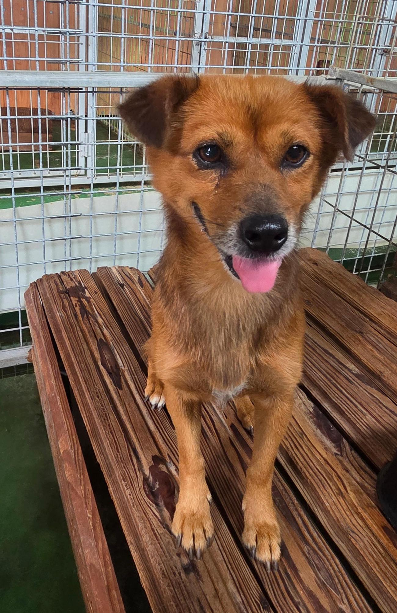 나주유기동물보호센터_446483202501737