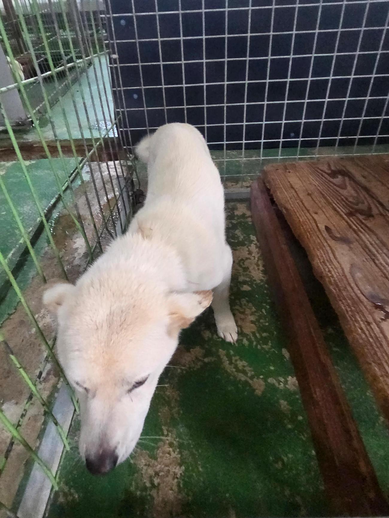 나주유기동물보호센터_446483202501732