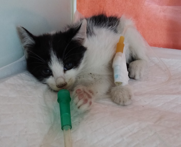 종료(방사) 한국 …