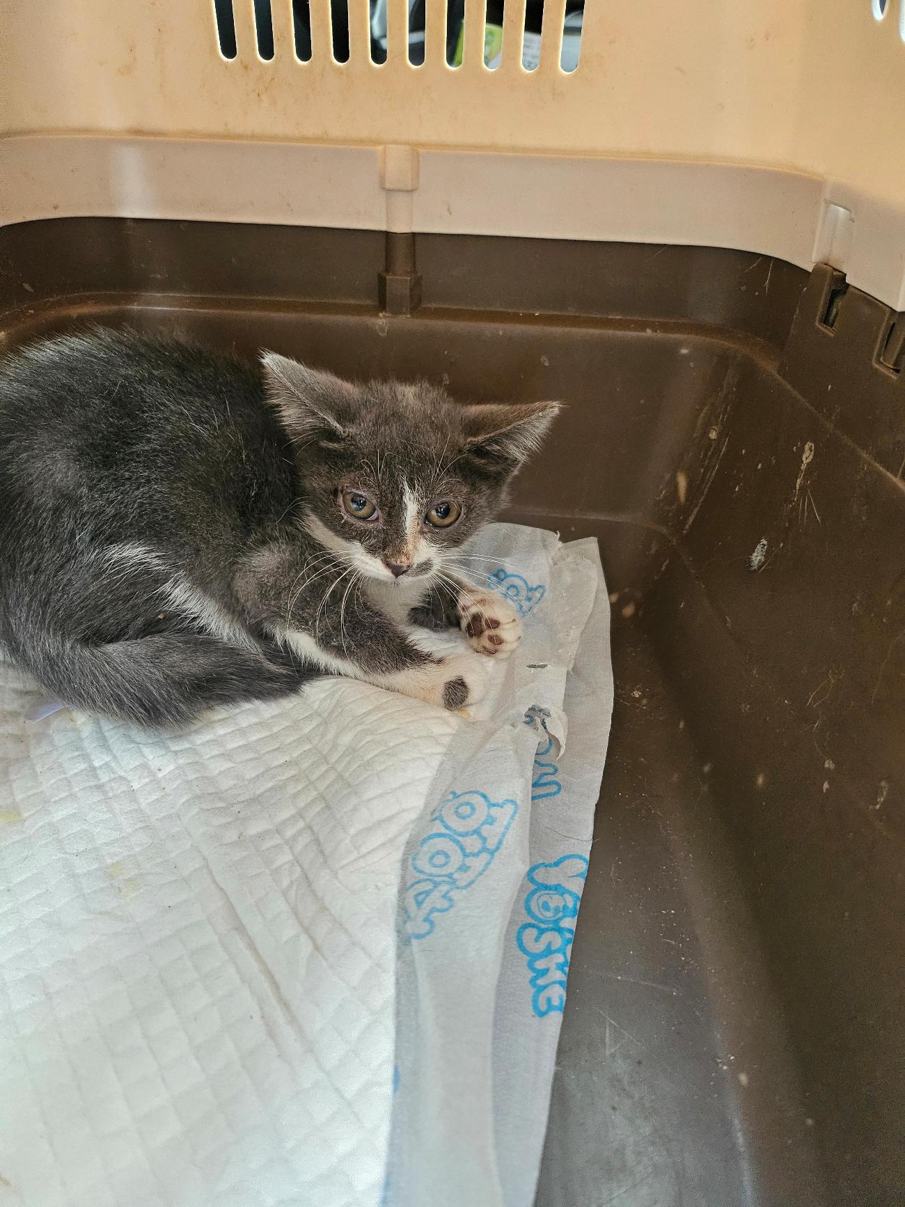 종료(기증) 한국 …