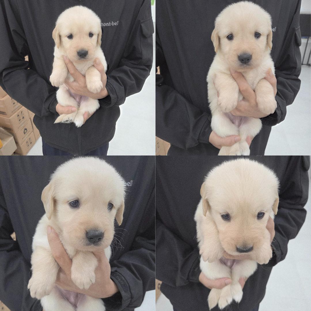 반려동물 입양센터_447508202501292