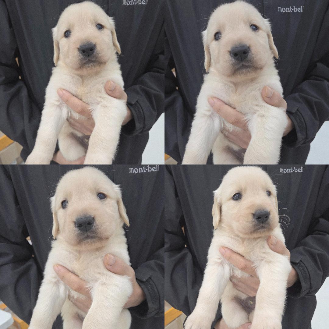 반려동물 입양센터_447508202501295