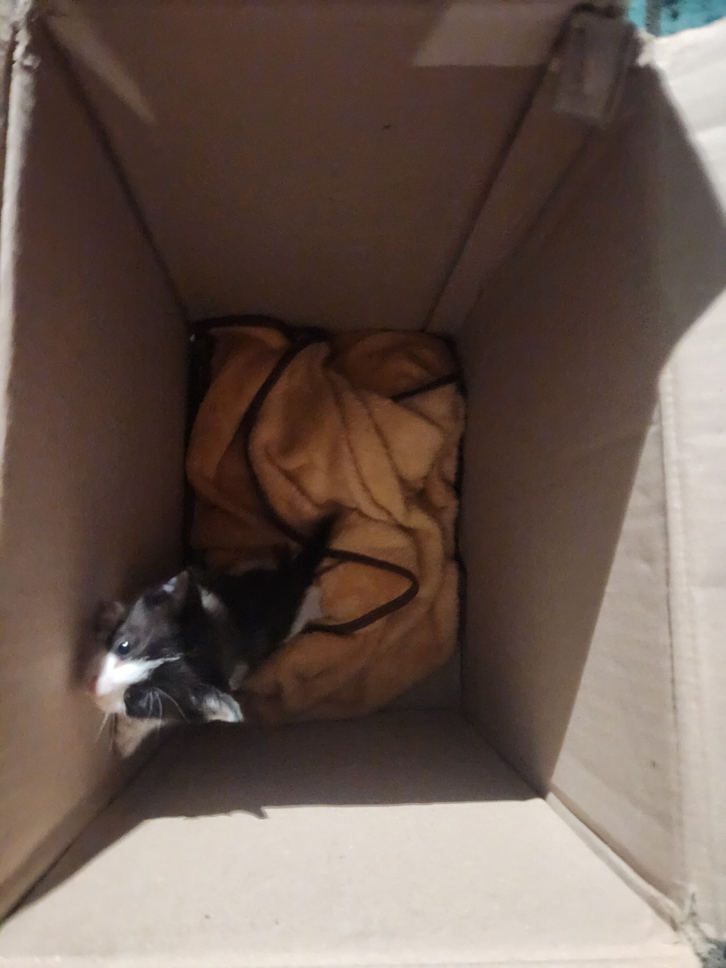 종료(자연사) 한국…