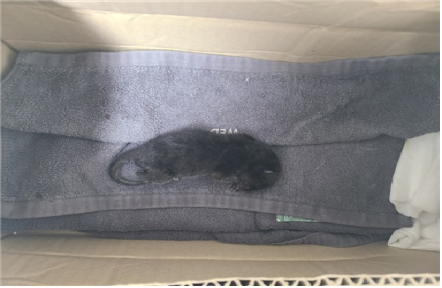 종료(자연사) 한국…