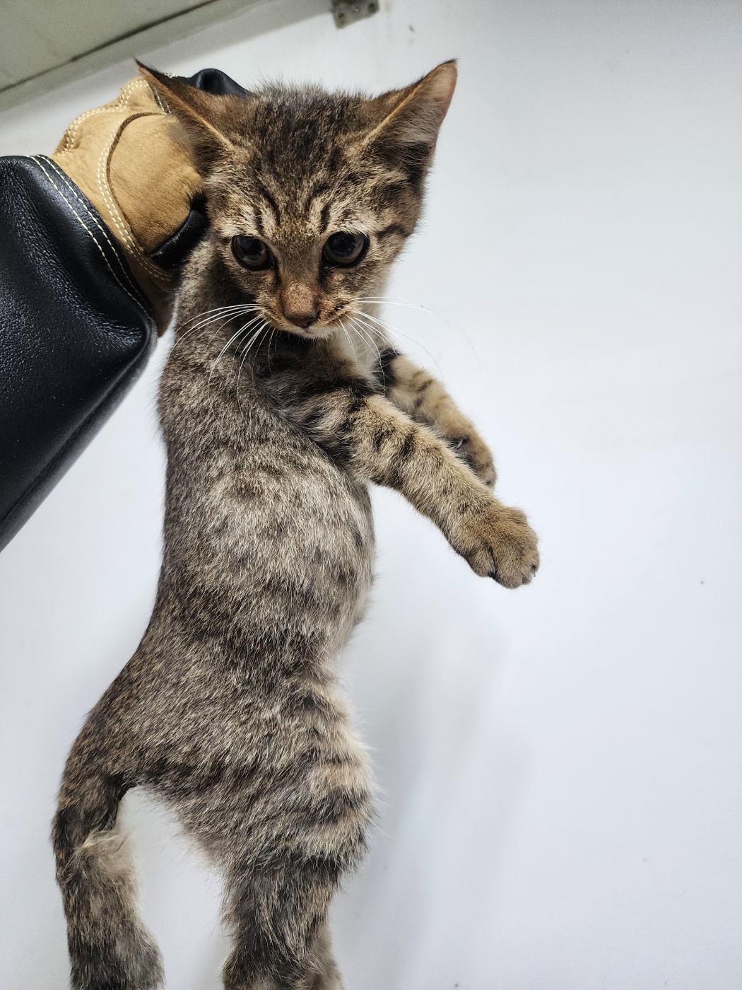 인천광역시수의사회_428353202500893