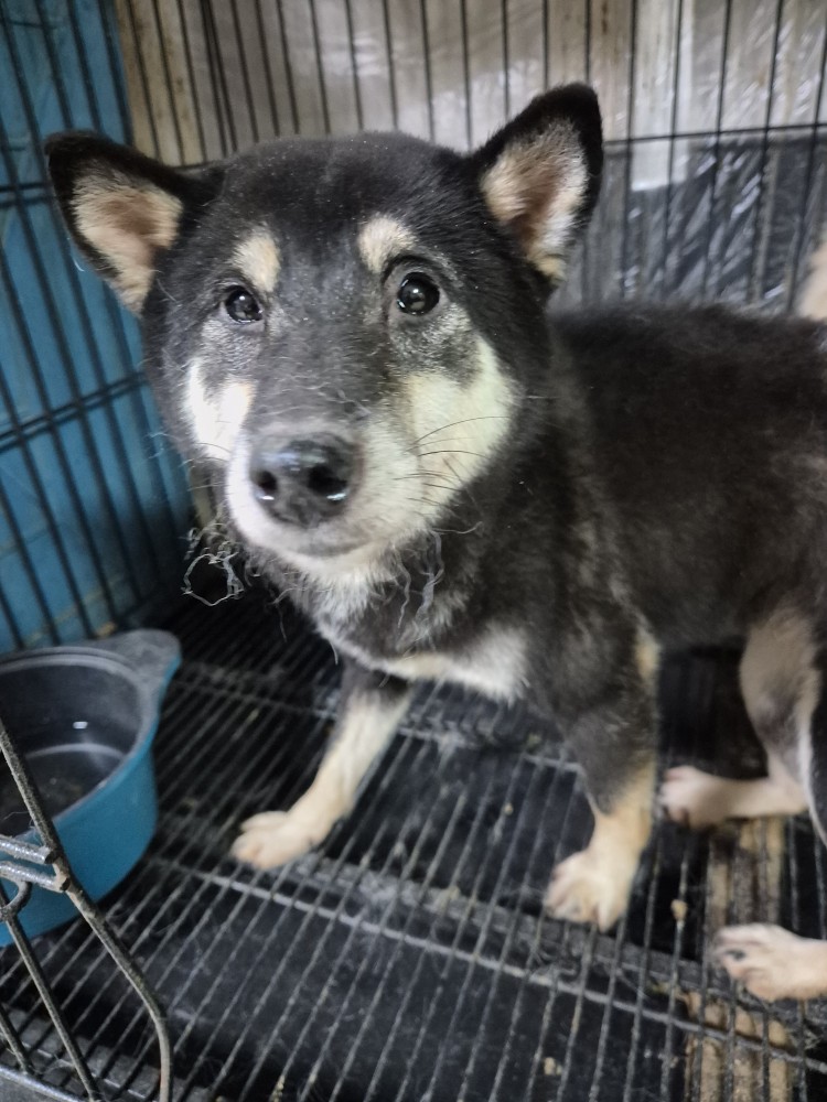 우리동물병원_428356202501468