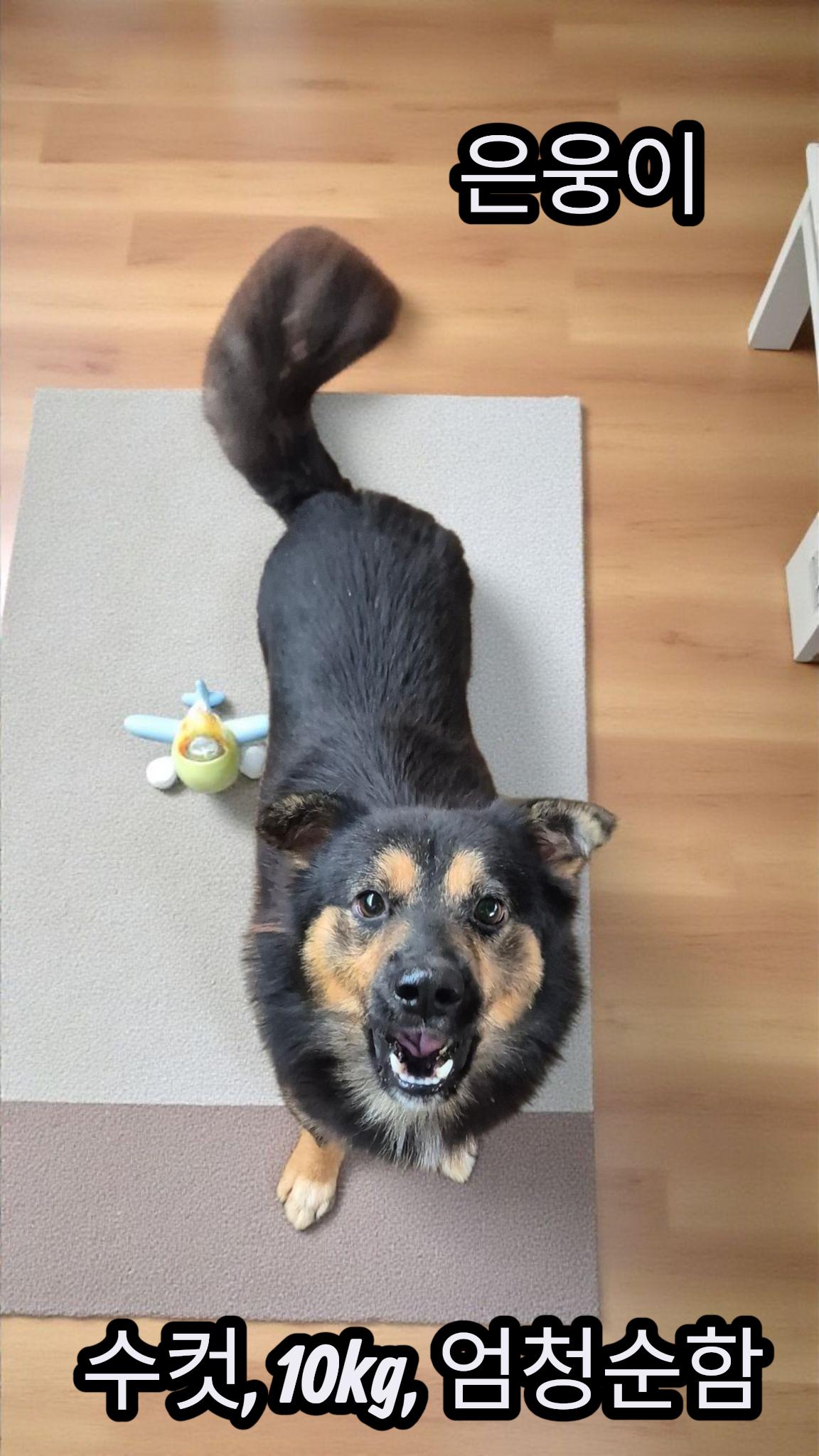 보호중 기타의 가족…