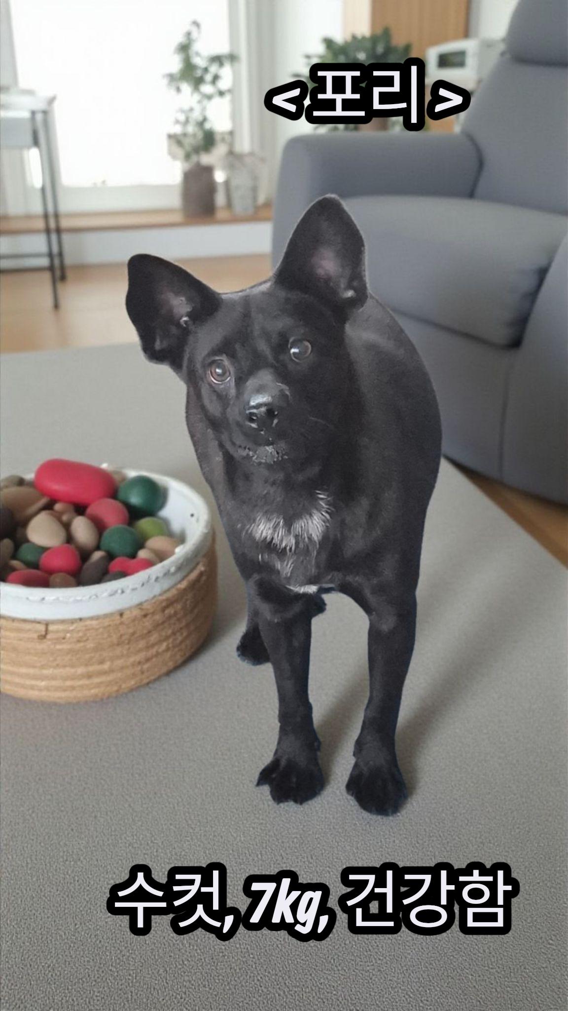 보호중 기타의 가족…