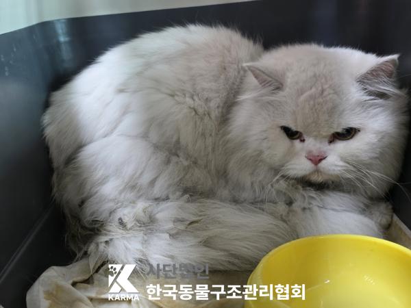 한국동물구조관리협회_411315202500554