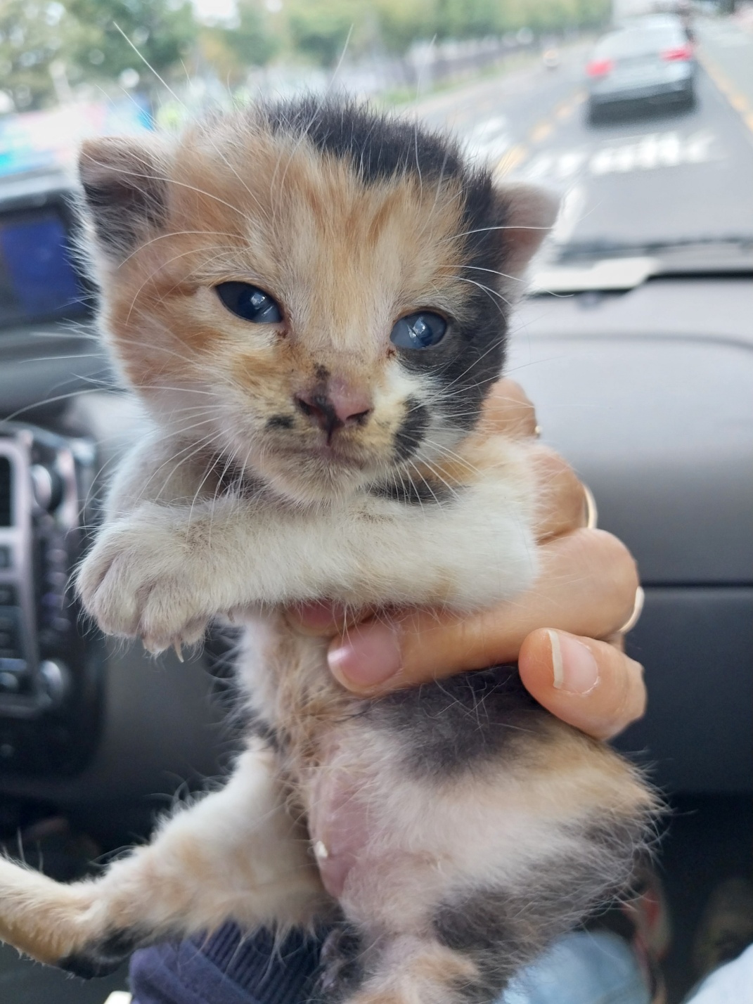 종료(자연사) 한국…