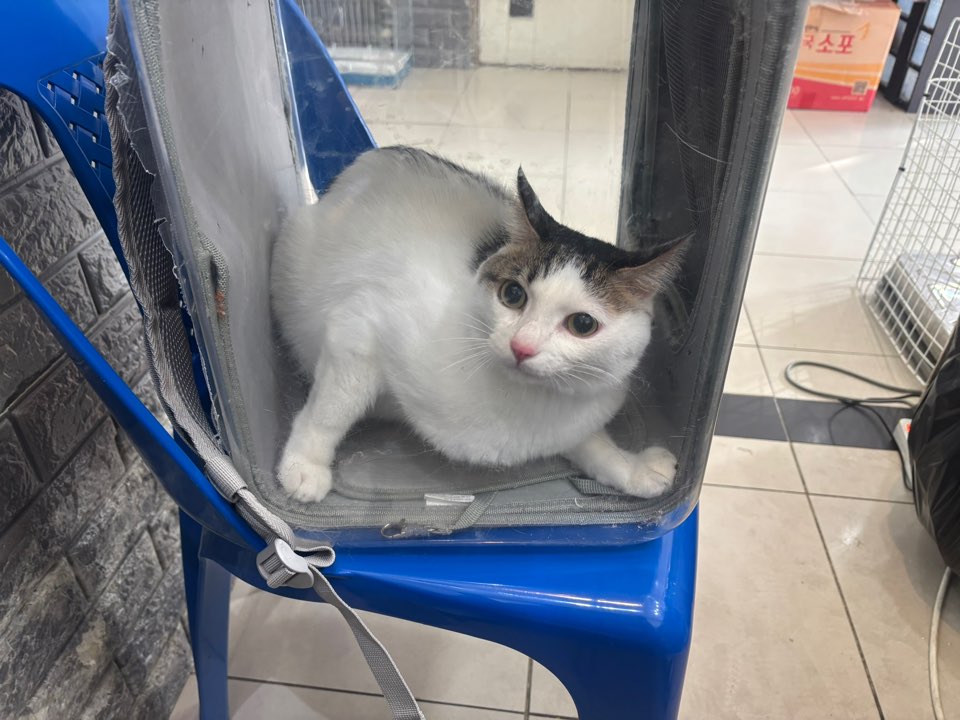 가정동물병원_428356202501475