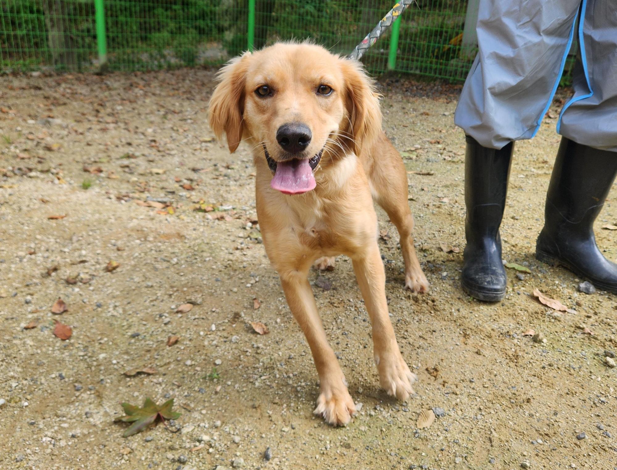 광주TNR동물병원초월_441554202501644