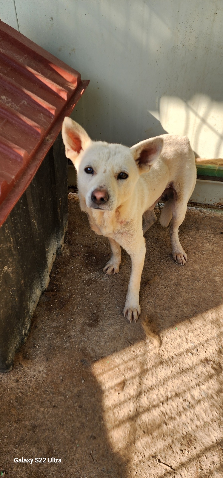 전북말산업복합센터_445471202500439