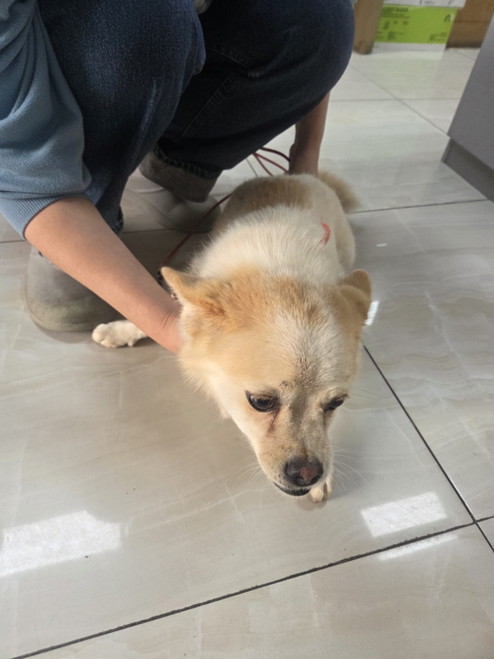 최종주동물병원_443444202500454