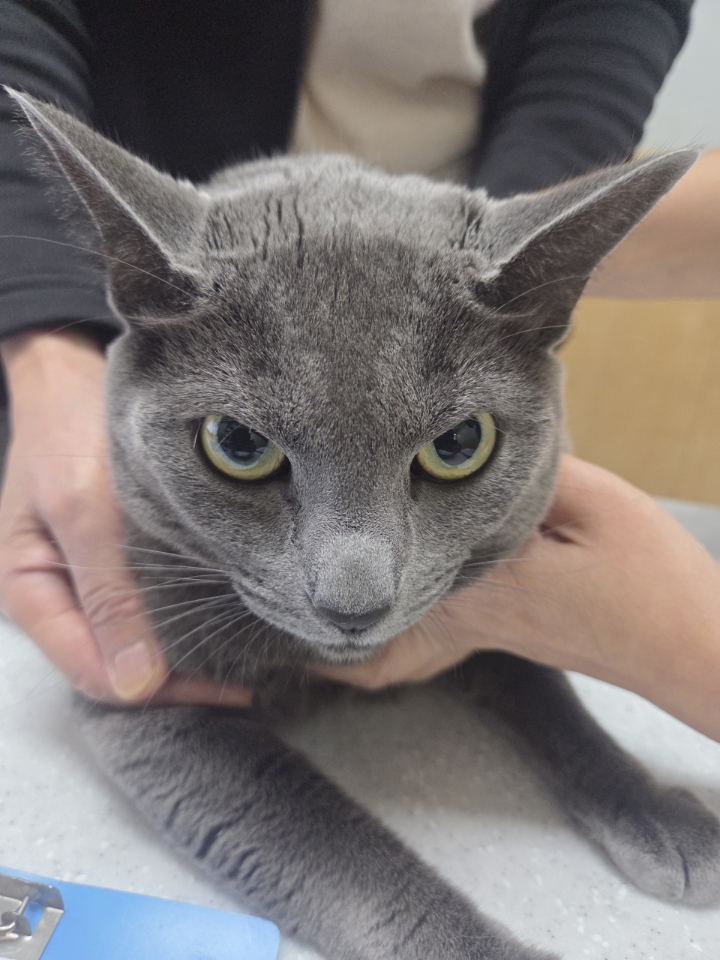 최종주동물병원_443444202500455