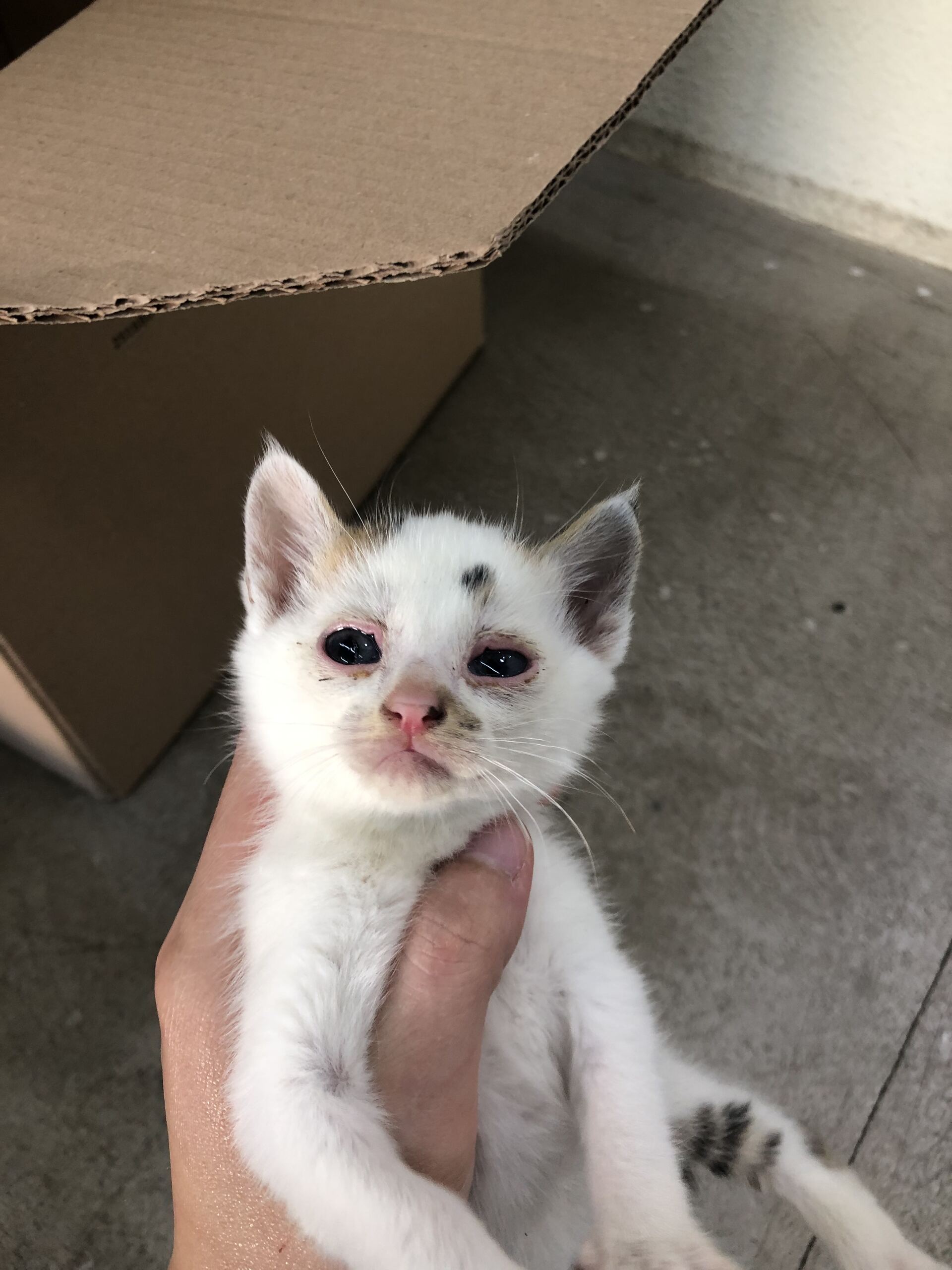 종료(자연사) 한국…