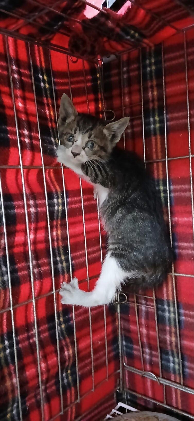 종료(자연사) 한국…