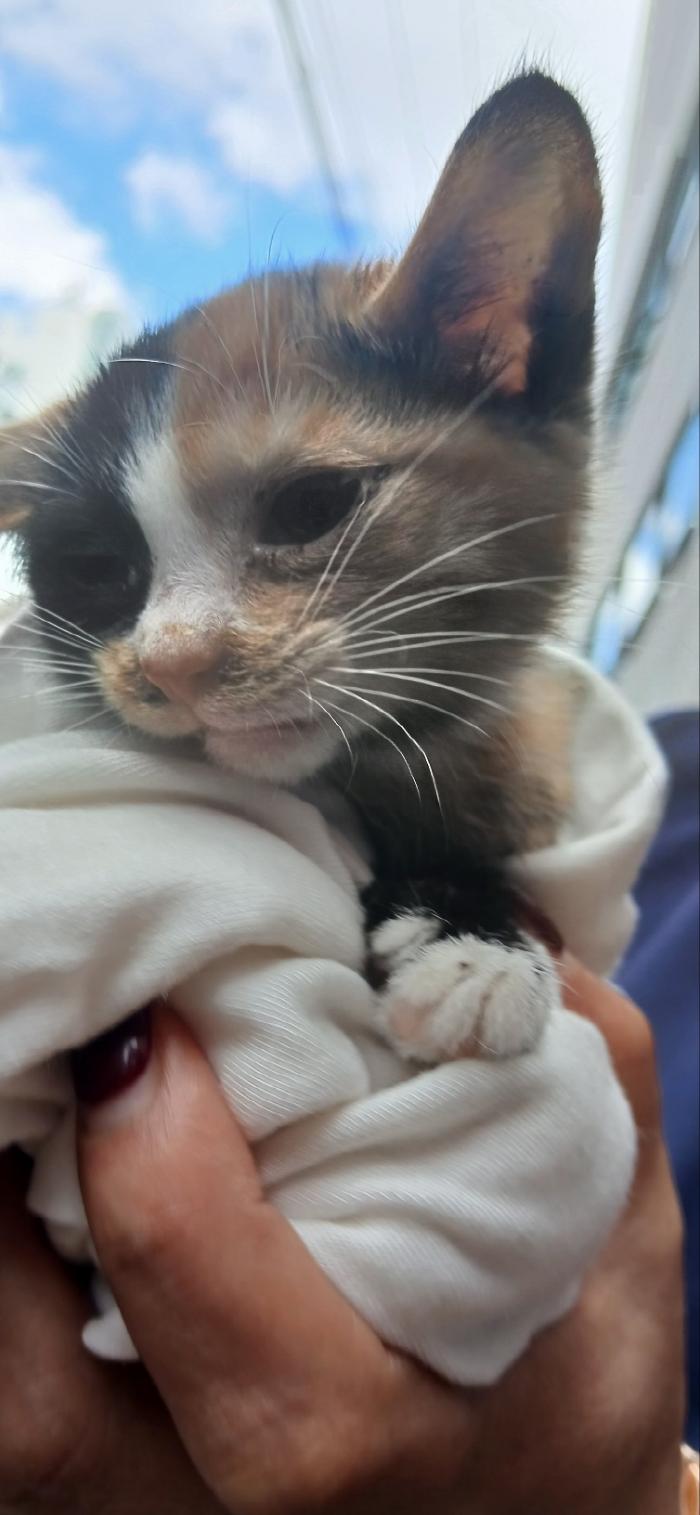 종료(자연사) 한국…