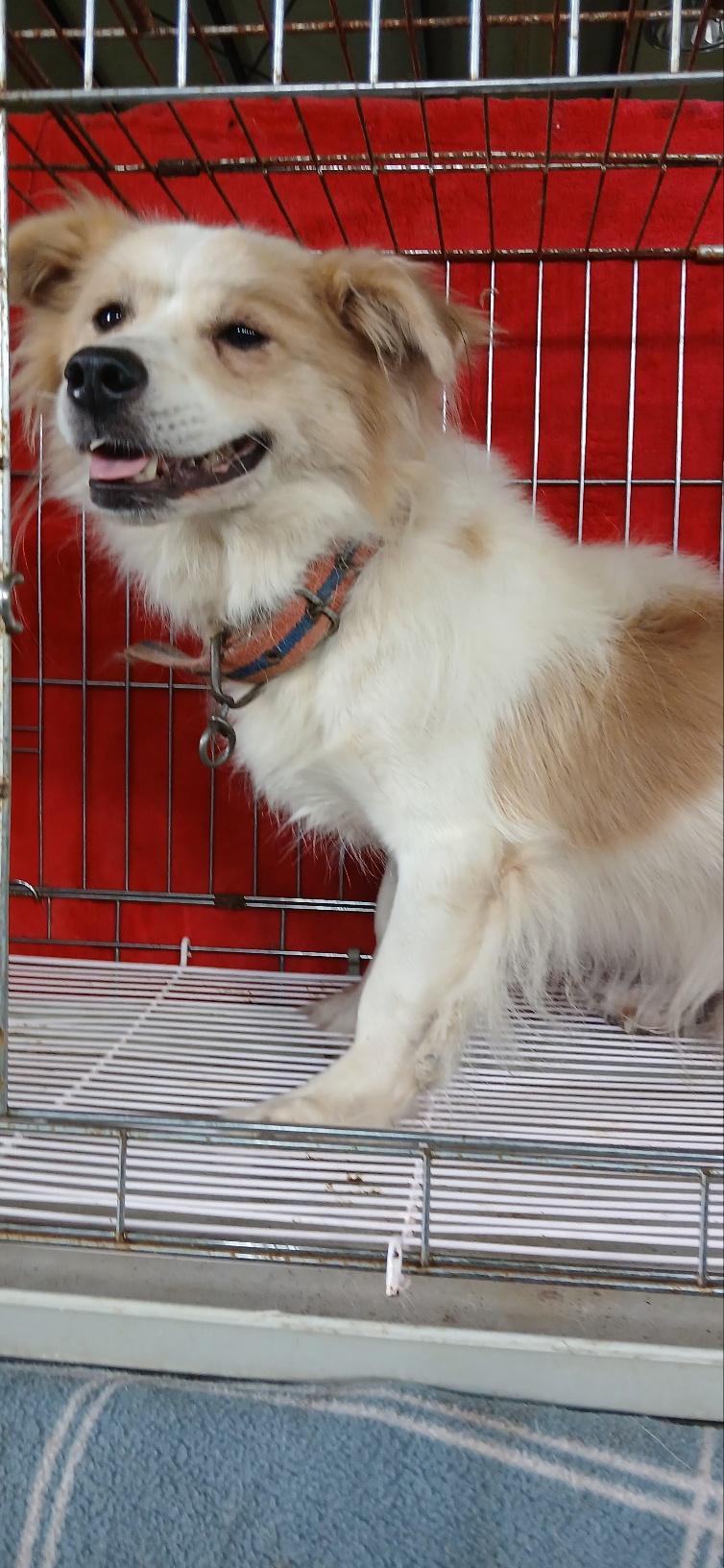 종료(자연사) 믹스…