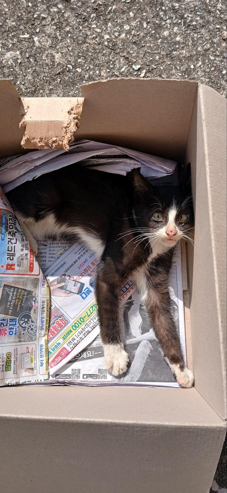 종료(자연사) 한국…