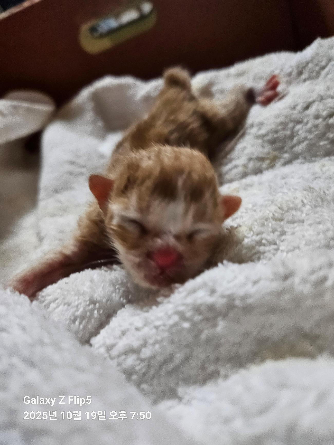 울산유기동물보호센터_431373202501566