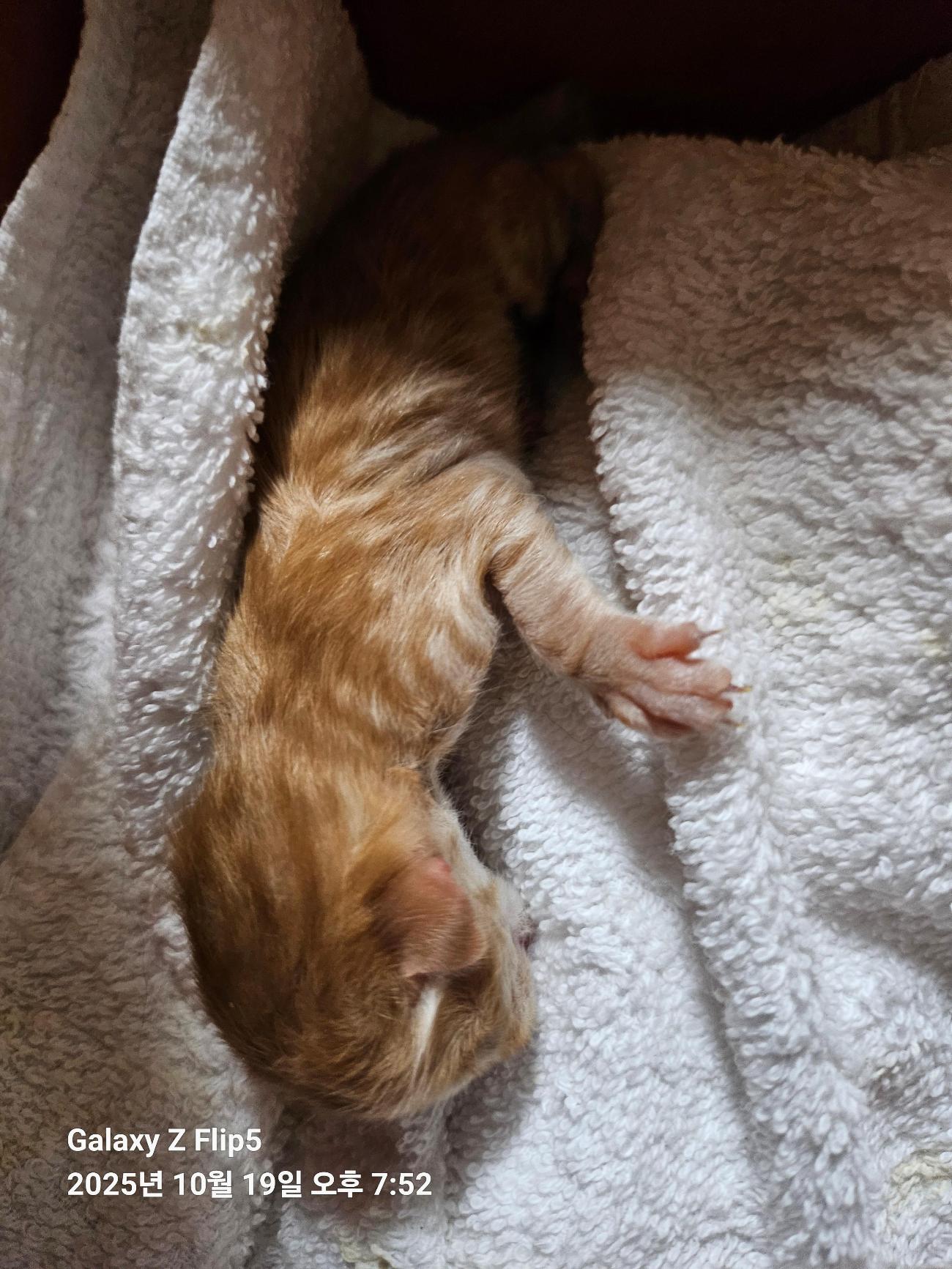 종료(자연사) 한국…