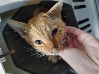 사단법인 동부_426340202500655