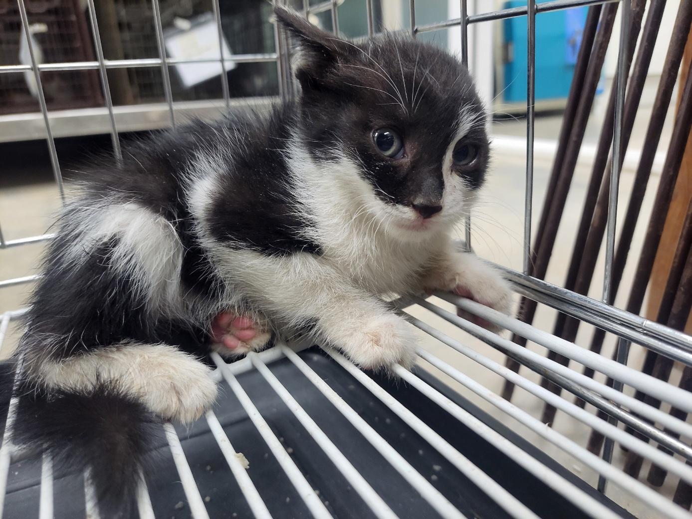 종료(기증) 한국 …