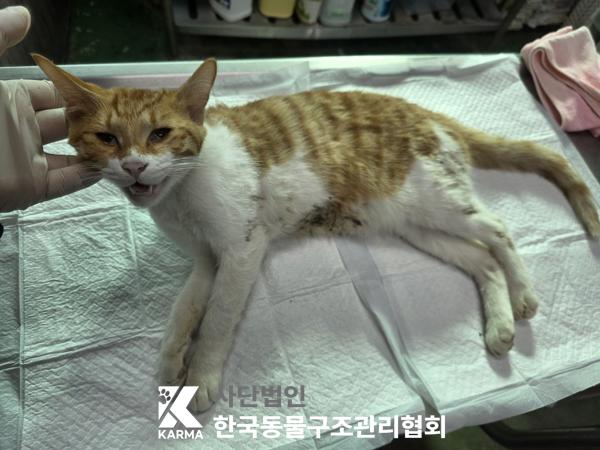 종료(자연사) 한국…