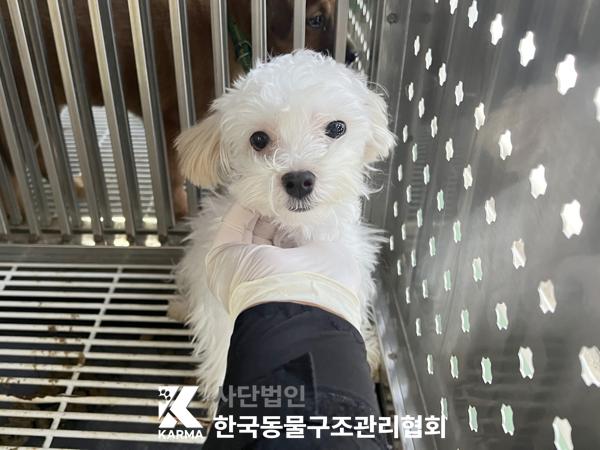 한국동물구조관리협회_441398202500506