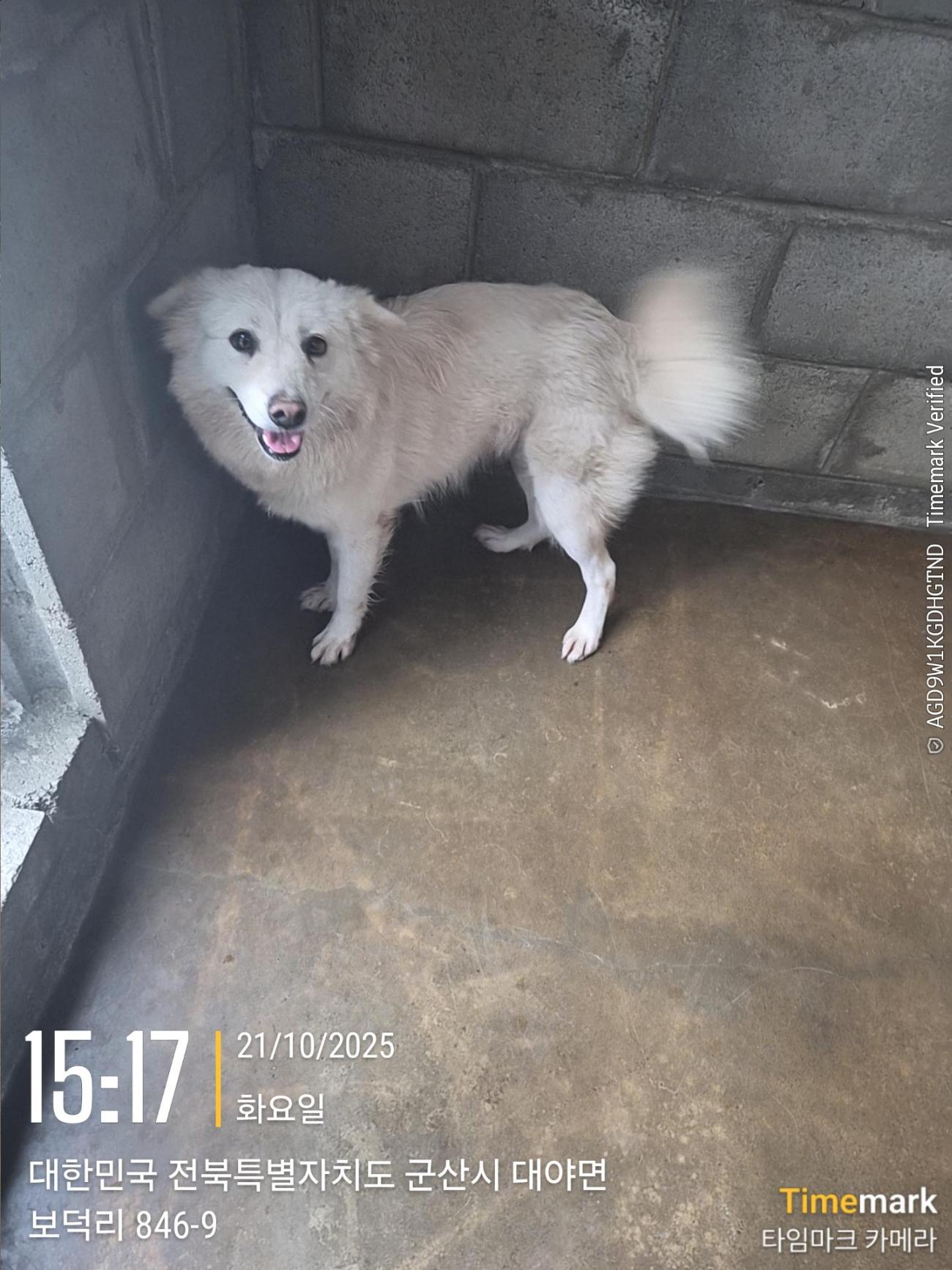 군산유기동물보호센터_445467202501979